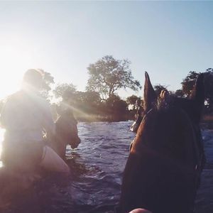 Meet your Posher, Lillie